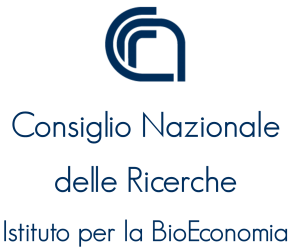 RTC - IBE